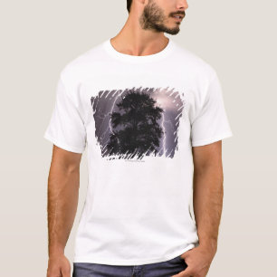 Camiseta Curto circuitos no céu atrás de uma árvore