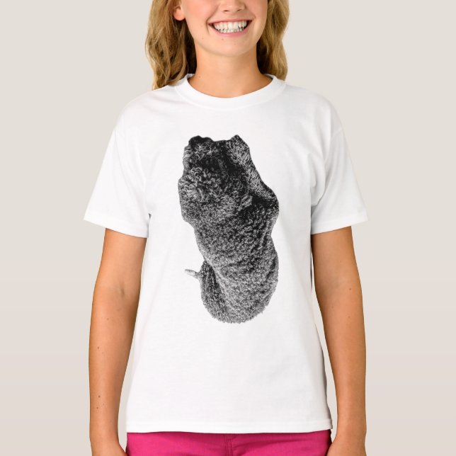 Camiseta Curvas de Lealdade (Frente)