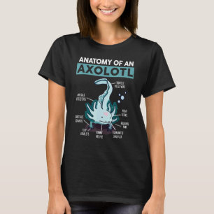 Camiseta Cute Anatomia De Um Axolote Peixe Ambulante Mexica