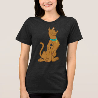 Camiseta Cutro De Scooby-Doo Que Bonito