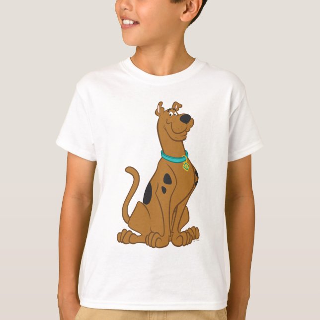 Camiseta Cutro De Scooby-Doo Que Bonito (Frente)