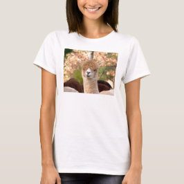 Camiseta da alpaca