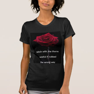 Camiseta da bruxa - cuidado