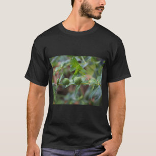 Camiseta da Natureza de Leite Cruzado
