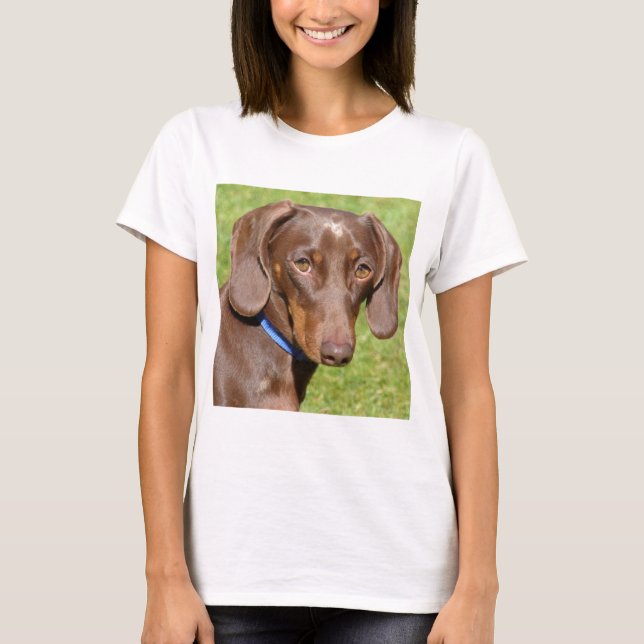 Camiseta Dachshund (Frente)
