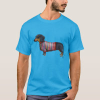 Dachshund Com Sweater Wooly