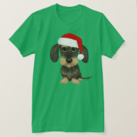 Dachshund de Cabelo Raspado Papai Noel Teckel Cach