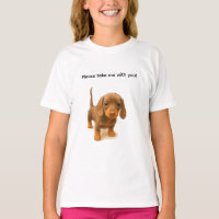 Dachshund Por favor, leve-me com você!