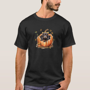 Camiseta Dachshund preto-e-bravo em uma queda de abóbora