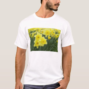 Camiseta Daffodils RF)