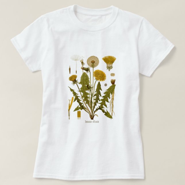 Camiseta Dandelion (Frente do Design)