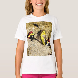Camiseta Danni a Sereia