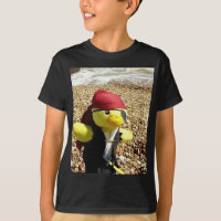 Danny Duck o Pirata