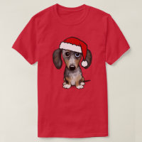 Dapple Dachshund Papais noeis Wiener Dog Natal