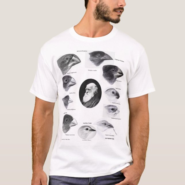 Camiseta Darwin's finches (Frente)