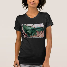 Camiseta Das mulheres tribais indianas de Florida da arte