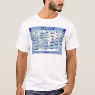 Camiseta David