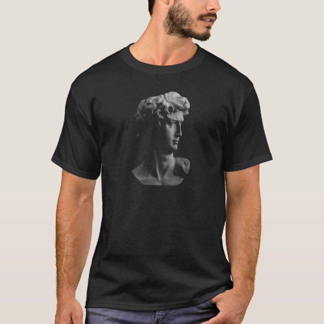 Camiseta David Michelangelo Roman Head (Frente)