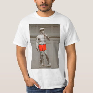 Camiseta David Statue