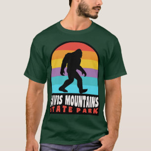 Camiseta Davis Mountain State Park Texas