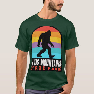 Camiseta Davis Mountain State Park Texas