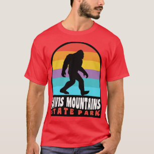 Camiseta Davis Mountain State Park Texas
