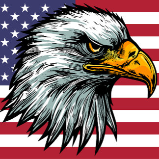 Camiseta de águia-careca