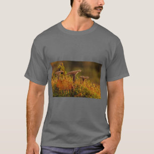 Camiseta de Arte de Cogumelo Mágico