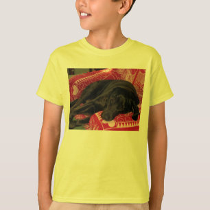 Camiseta De Cães Com Sono