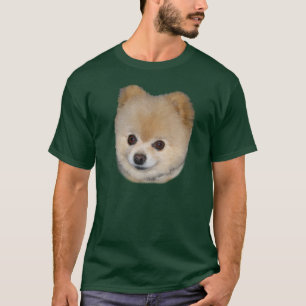 Camiseta de cão de Pomeranian
