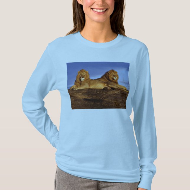 Camiseta de dois leões machos (Frente)