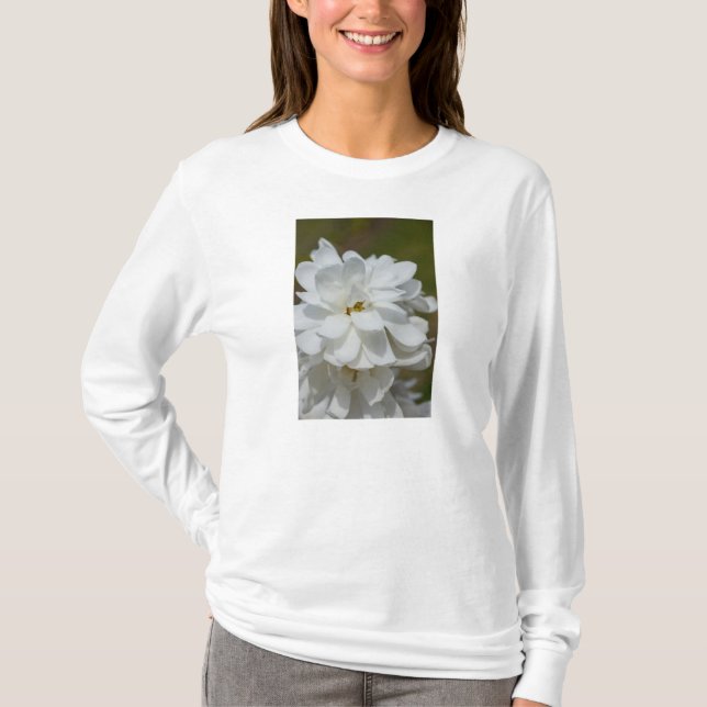 Camiseta de folhas compridas Magnolia (Frente)