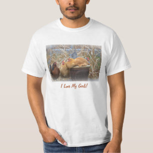 Camiseta de frango