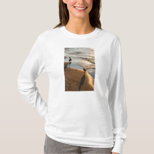 Camiseta de Manga Longa Passeio ao Pôr do Sol Com 