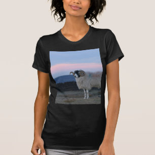 Camiseta de Mulheres Negras Ovelhas