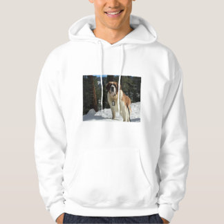 camiseta de suor de cachorro São Bernardo roupa de