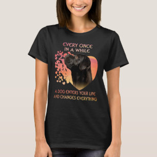 Camiseta De Vez Em Quando Um Corso De Canas Entra Em Sua Vi