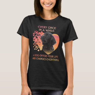 Camiseta De Vez Em Quando Um Labradoododle Entra Em Você