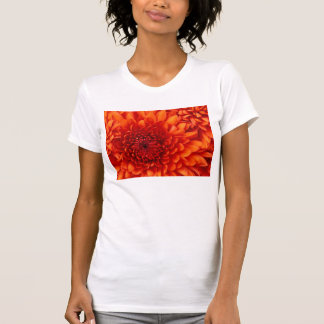 Camiseta de volta à escola