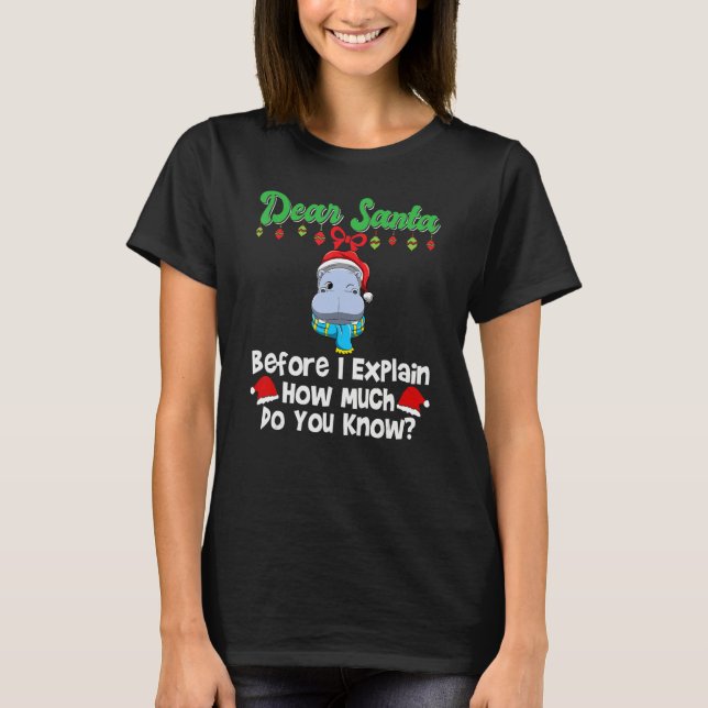 Camiseta Dear Santa Before I Explain How Much Do You Know_2 (Frente)