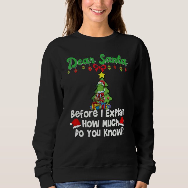 Camiseta Dear Santa Before I Explain How Much Do You Know_6 (Frente)