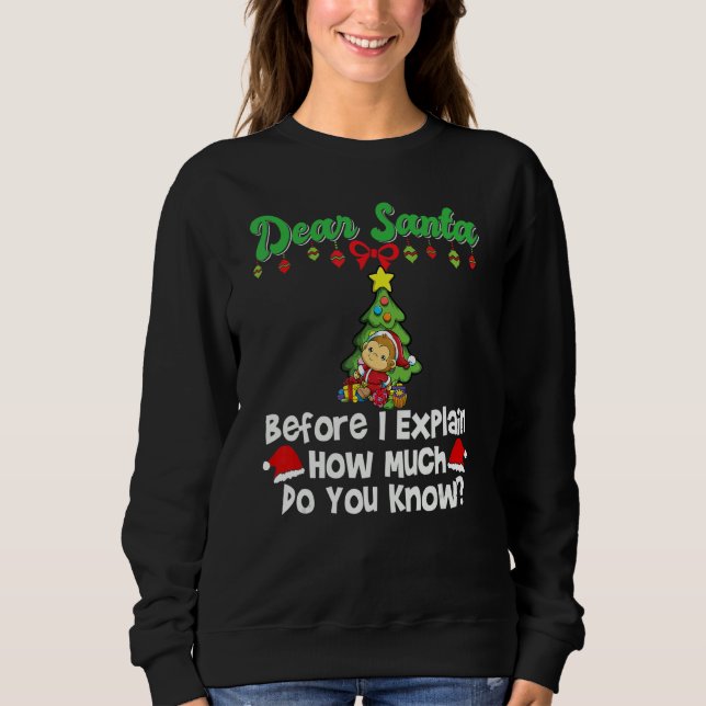 Camiseta Dear Santa Before I Explain How Much Do You Know_7 (Frente)