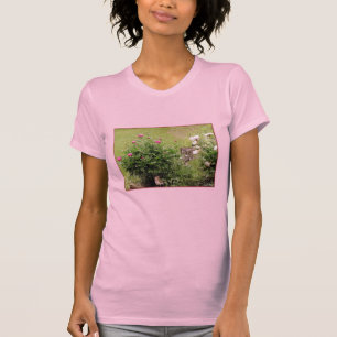 Camiseta DeCamisa da Capa das senhoras dos rosas do jardim