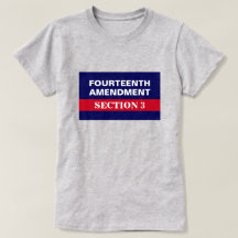 Décima Quarta Alteração Seção 3 Constituição