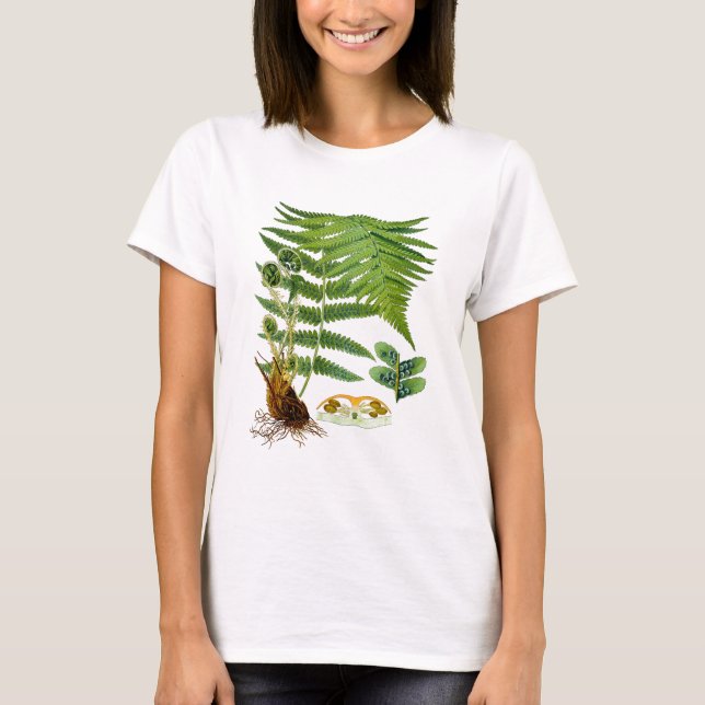 Camiseta Decoração antiga do verde da ilustração da (Frente)