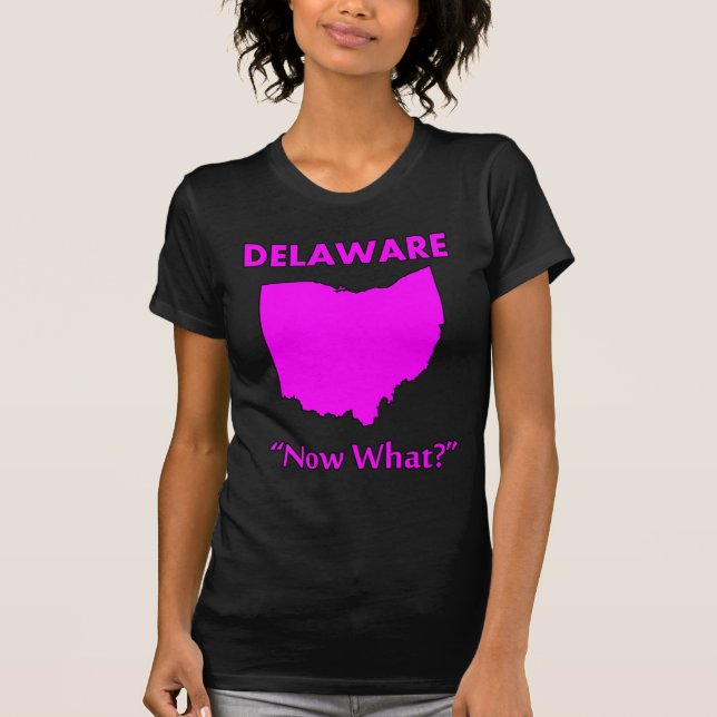 Camiseta Delaware - E agora? (Frente)