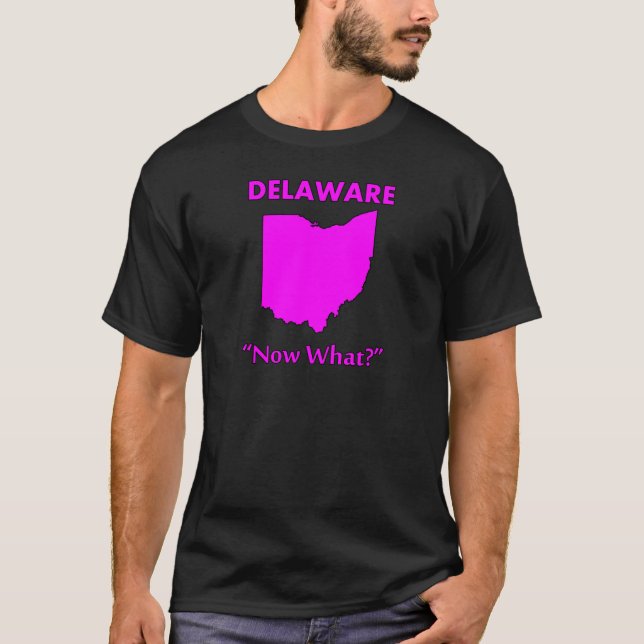 Camiseta Delaware - E agora? (Frente)
