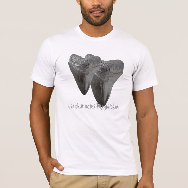 Camiseta Dente de Charcharocles Megalodon (Frente)