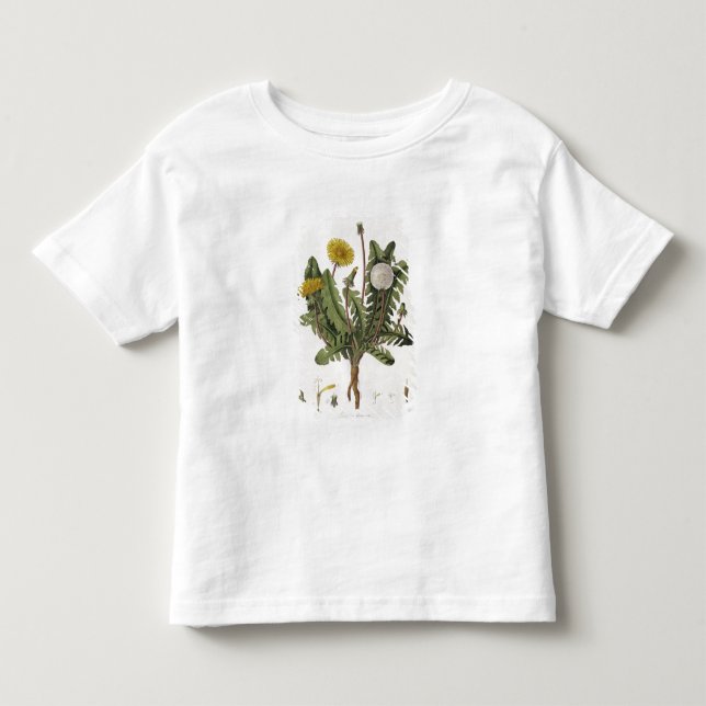 Camiseta Dente-de-leão (gravura da cor) (Frente)