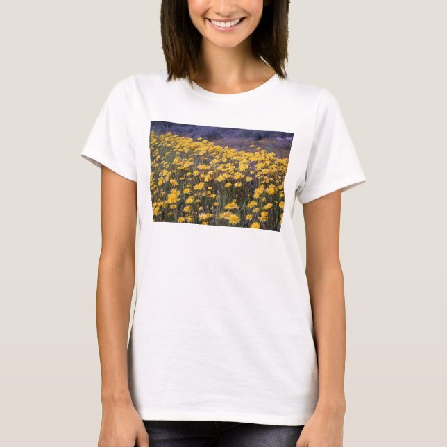 Camiseta Dentes-de-leão (Frente)